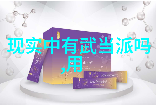 自学武术的太极拳桩法叶式史反复探究古韵