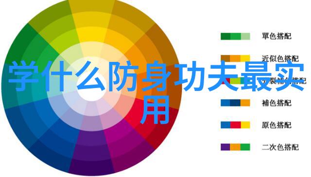 自学武术之练拳与用进废退又可谓是何方高人