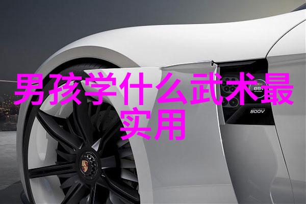 中国武术秘籍书-揭秘古代武林一本一本的中华武术宝典