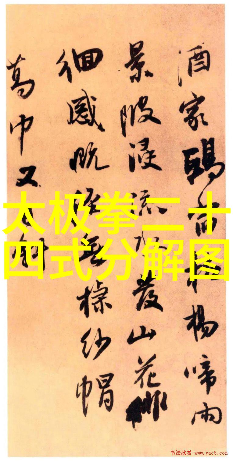 掌握太极拳基础如何正确理解太极拳24式自学图解