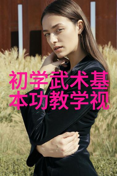 基础武功秘籍-揭秘内家绝学从零到英雄的修炼之路
