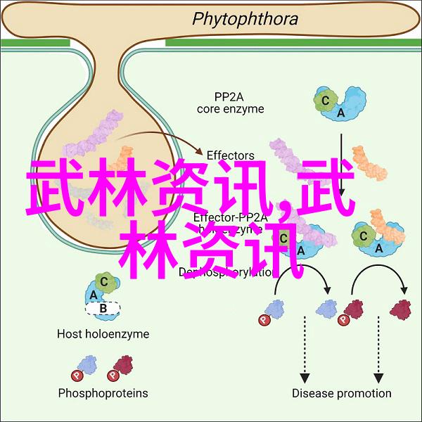 十大真实的武功秘籍我亲眼见过的那些让人震惊的武学宝典