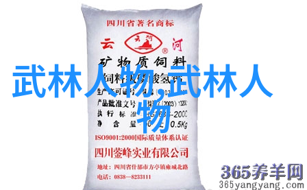 中国武术盛世门派拳种忽雷太极拳