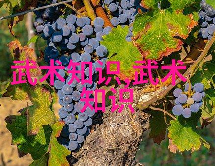 门派拳种离合拳上古八大仙境中的奇迹人物