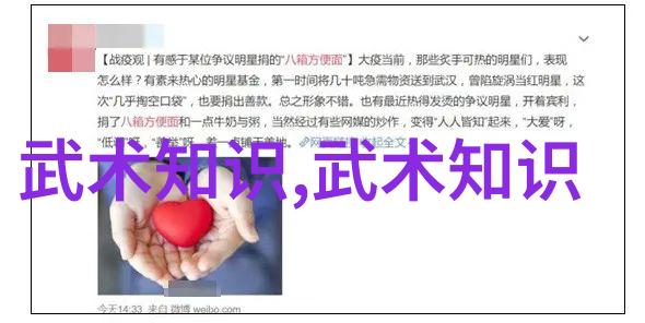 揭秘太极武学十三式太极拳分解动作的精髓探究