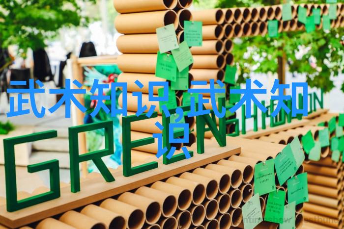 武林名门探秘太极拳的传承与魅力