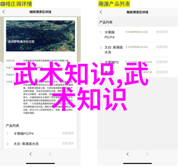 秘籍之谜揭开古代武学的奥秘