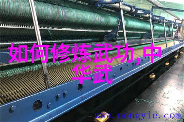 太极门赵堡太极拳女生仙气十足的帮派名字