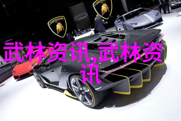 追寻中华文化根源介绍一些较为知名的国内外传统武术门派