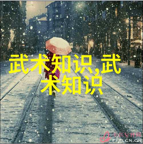 中国十大最强武术-中华武林秘籍揭秘中国十大最强武术的奥秘