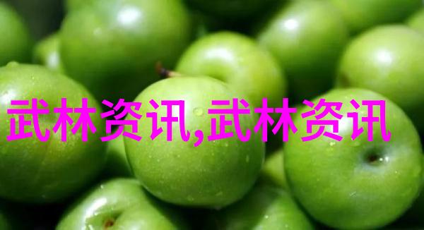 武林探秘安徽门派风云揭秘四川杨门拳种的独特魅力