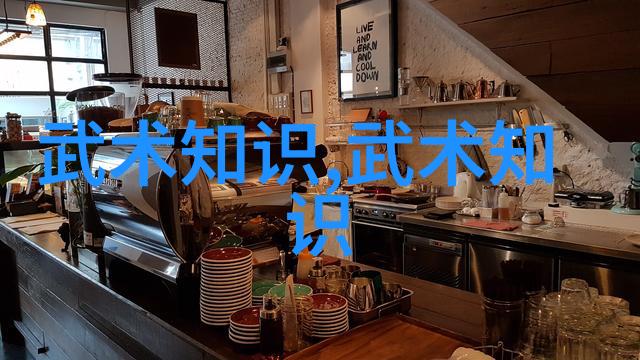 掌门人指南揭秘武林初学者的入门拳法