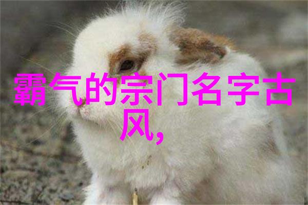 武林秘密禁锢技艺的暗影网