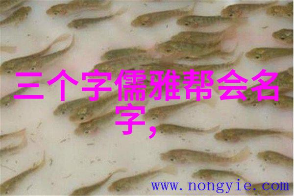 兵器选材选择适合自己练习的武器类型