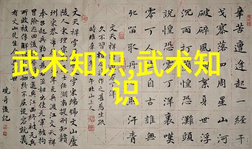 亲历武术盛世探索中国30个主要武术门派的演变