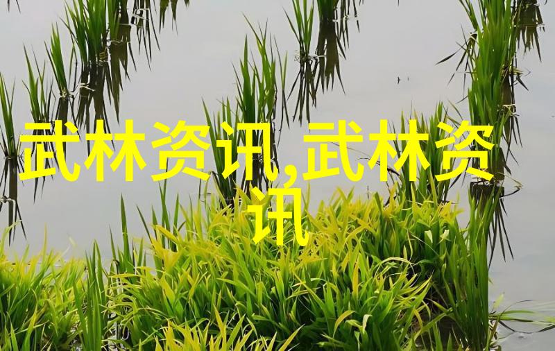 传统武术门派精髓中国武术的古老门派