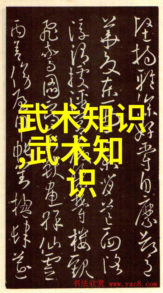武林巨擘李连杰现身社会热点论道功夫之道