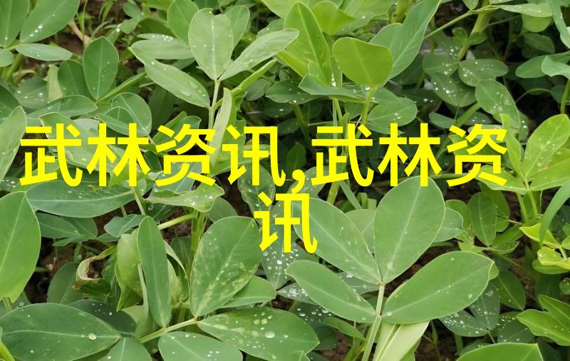 昆仑派回族的顶级宗门如同远古时期的龙巢藏于云雾之中