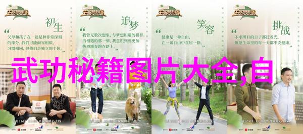 跨越时空一探那些被遗忘但仍值得重视的少数民族武术