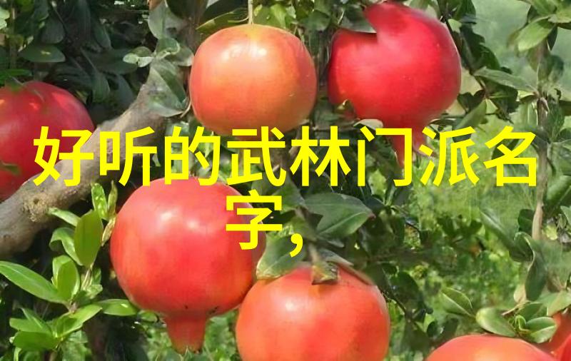 太极拳的练习原则-赵宪平二十四式简化太极拳图解动静结合流水不争速