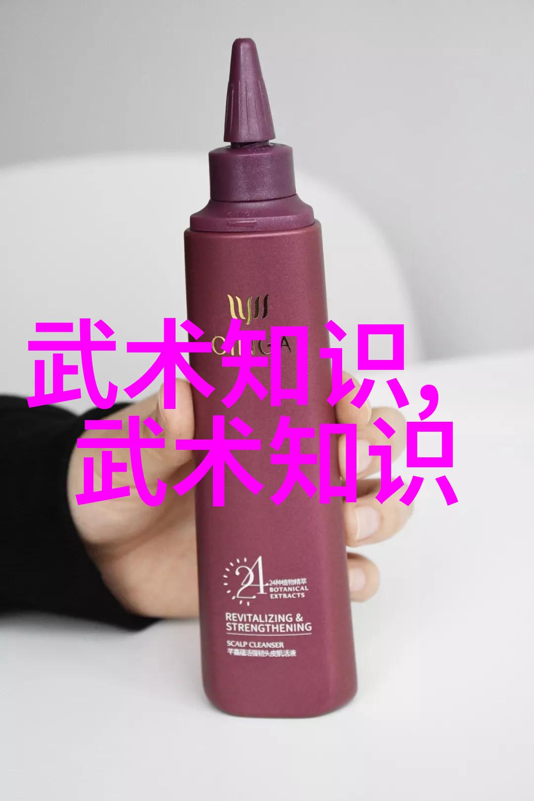 中国体系最庞大的武术门派揭秘千年传承的武学巨流