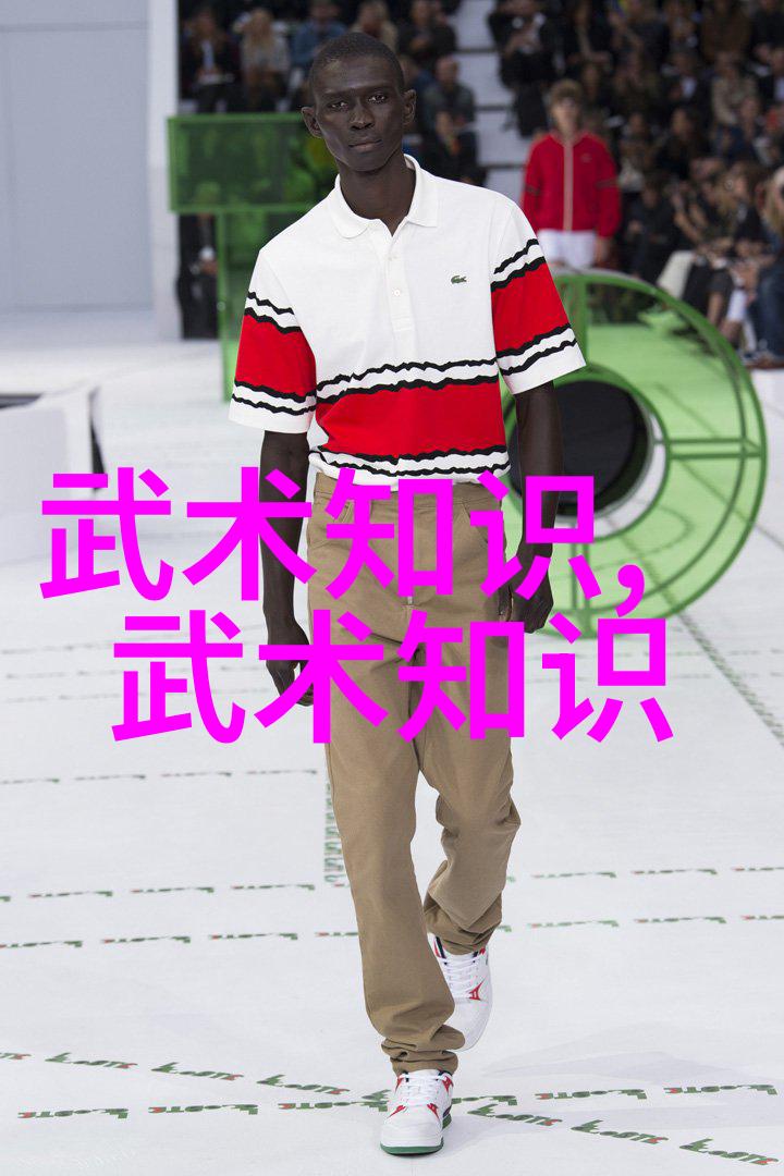 武术自学入门掌握基础功法与基本招式