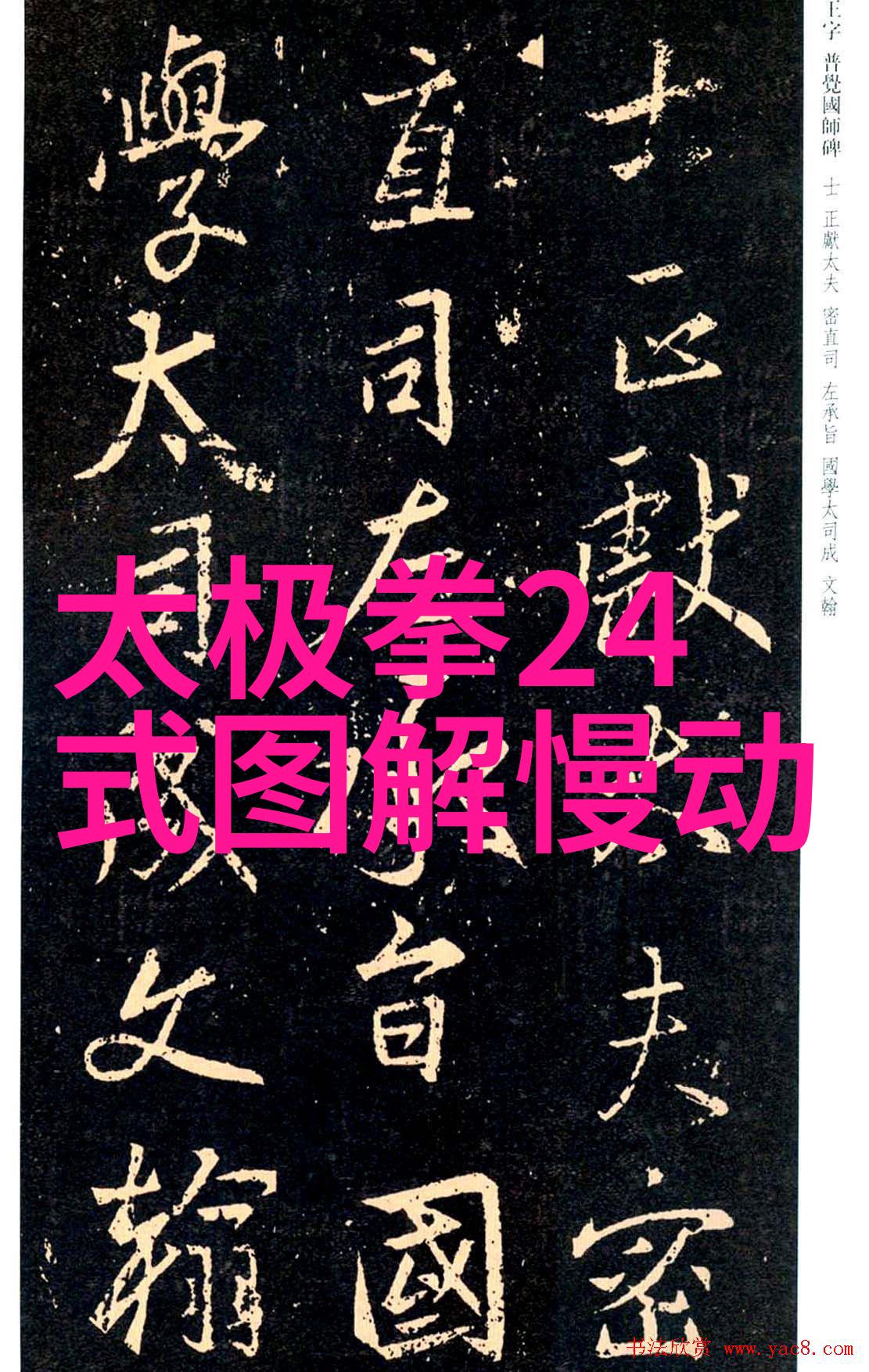 武术的12个基本动作-十二式武林中脉络
