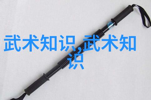 南拳华拳之争风暴与月光