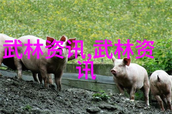 小说里好听的宗门我曾在云游中遇见的那些神秘而动人的地方