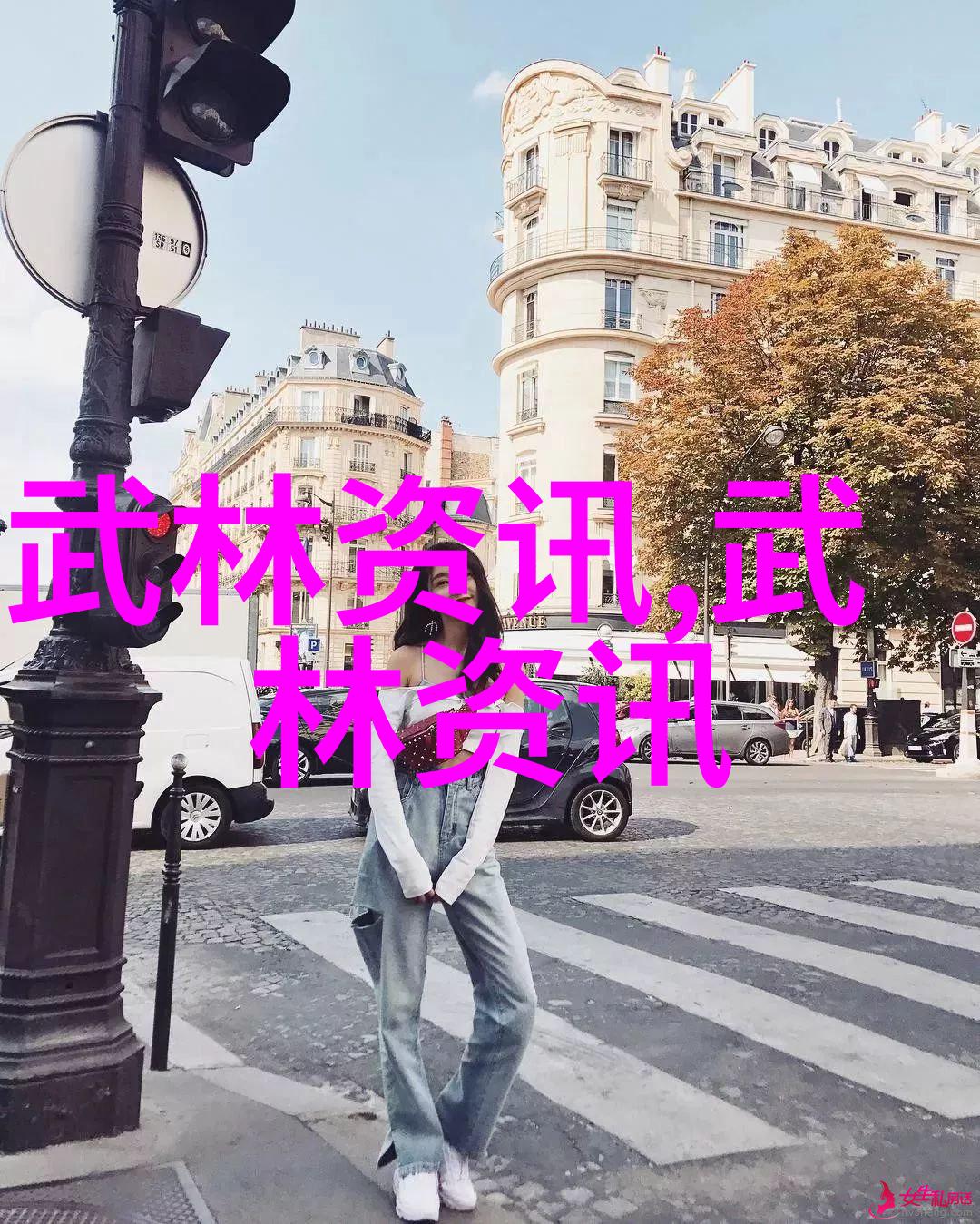 扇子舞动杀招无穷揭秘扇子剑法艺术的神韵与威力
