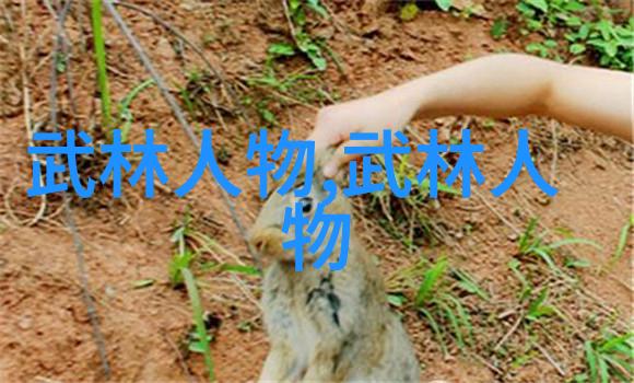 极清网高品质网络图片分享平台