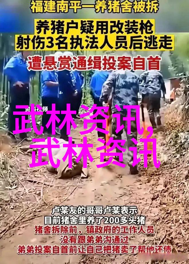 中国古典武术流派之探秘中华武学的瑰宝