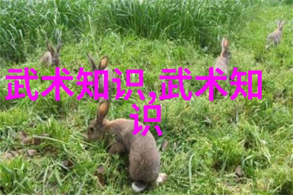 世界上最狠的拳法太极拳推手中的于子顺出手如锉回手如钩似蛇般灵活似虎般强悍