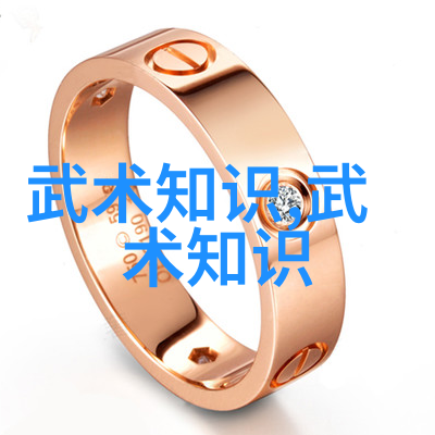 探索中华武林中国武术门派的丰富传统与现代实践