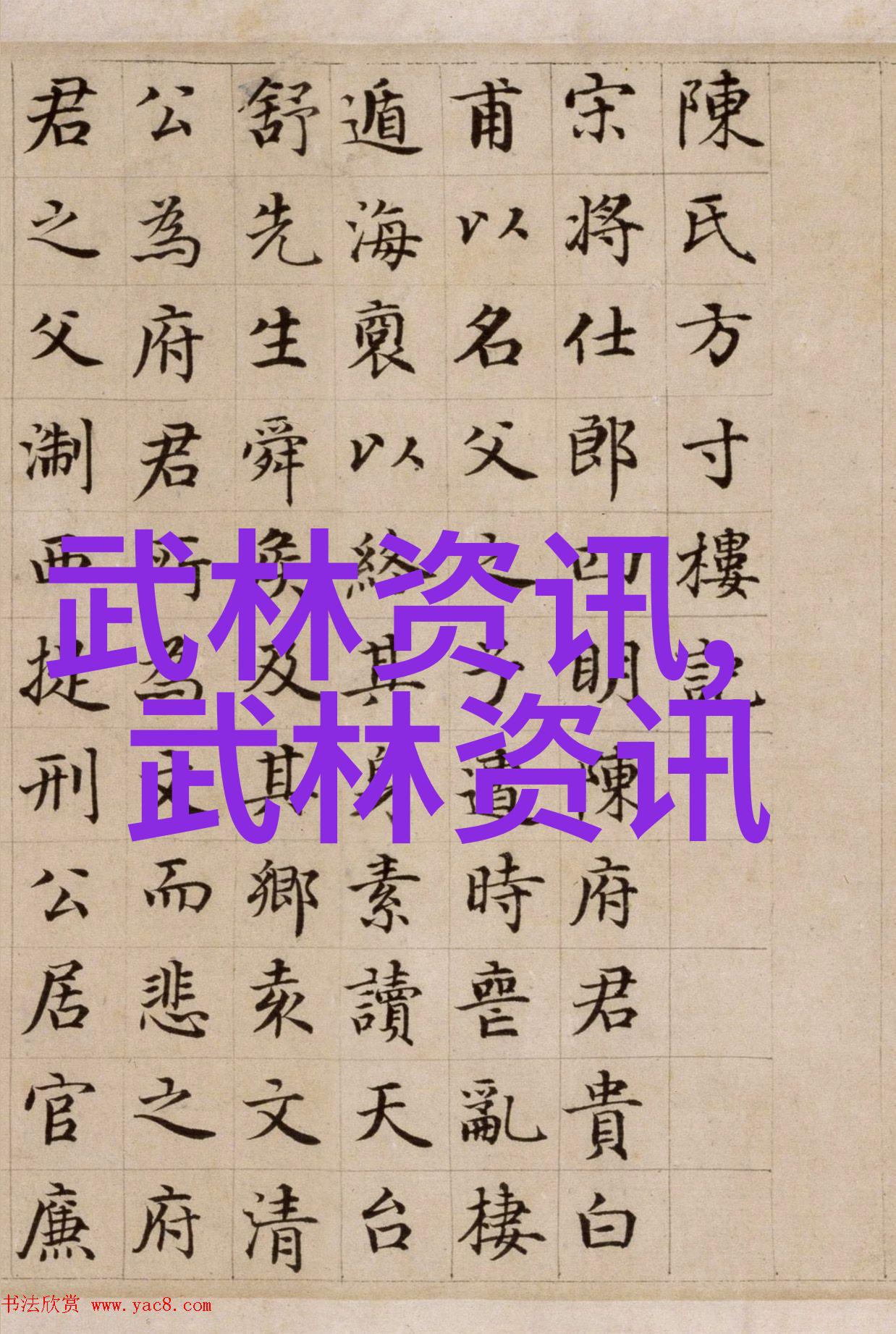 诗意帮派南拳风云人物