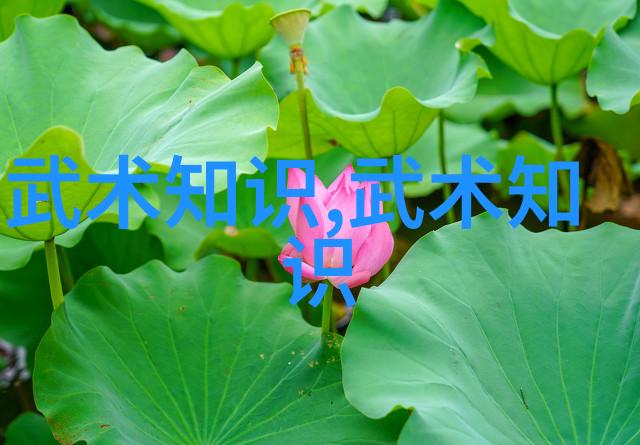 魔道祖师中的幽冥紫烟剑是否真的存在于传统文化中