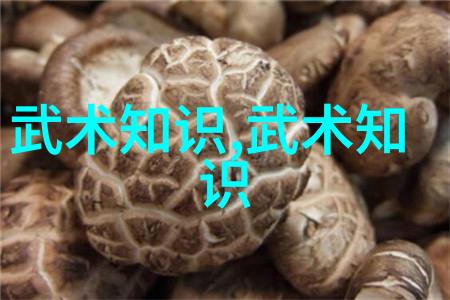 深入理解中国武学透过四十式太极拳视频及口令看内在哲学