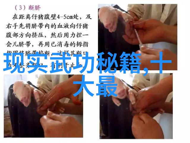 用刀的武林门派戳脚翻子拳剁手之刃舞动在风中
