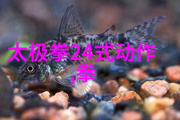 中国现代武学界的领先门派探究其发展历程与实战成效