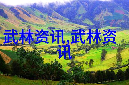 武林十大门派中的字门太极拳反复展示其拳种的精妙