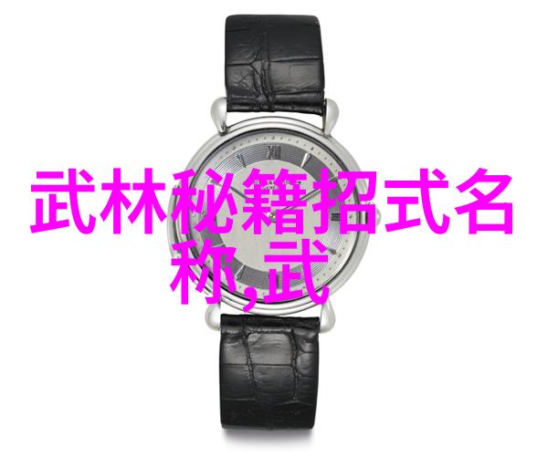 揭秘中国修真门派无极拳之谜隐藏着什么