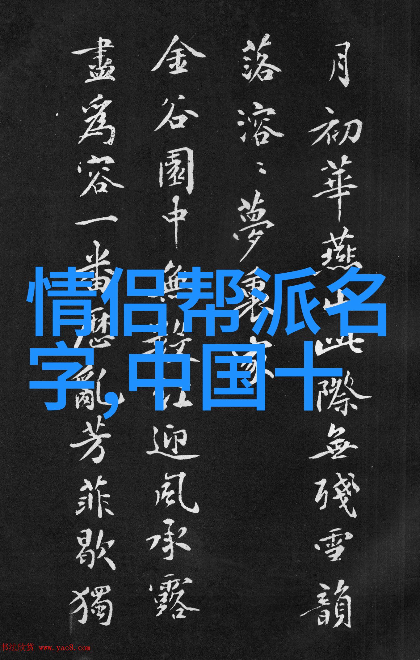 武林至尊揭秘内家拳的绝世奥秘