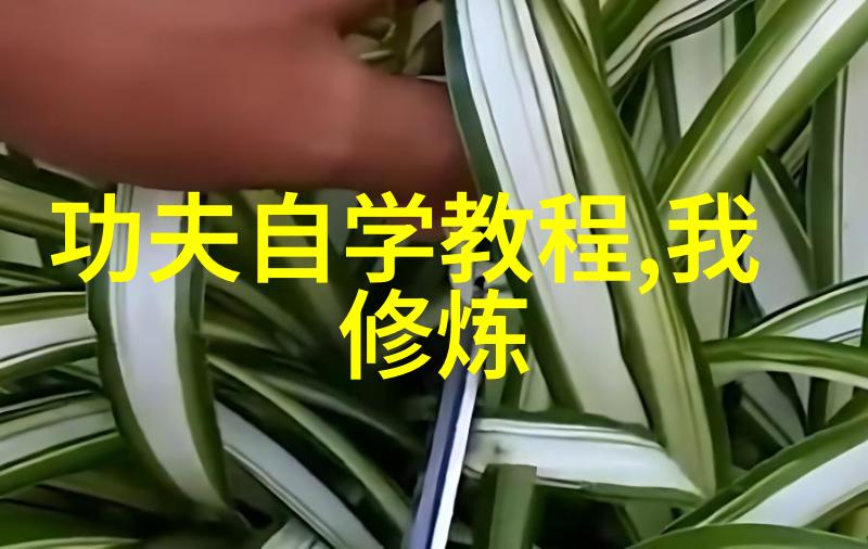 日本人水多多深度探究