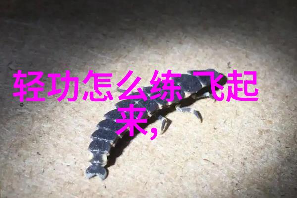 探秘中国武术十大门派传统与精髓的纵深探究