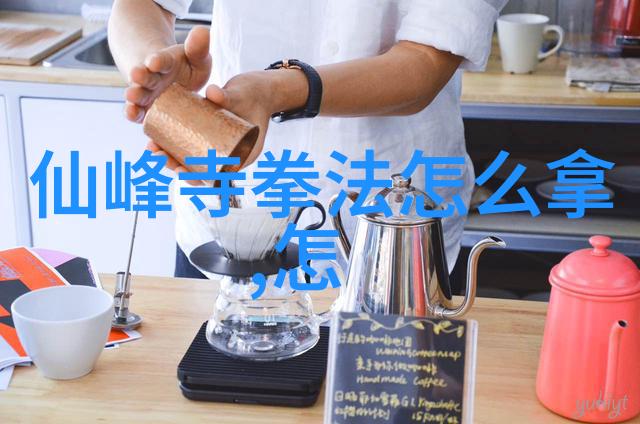 拳法秘籍解锁陈照奎五十式疾病驱散术