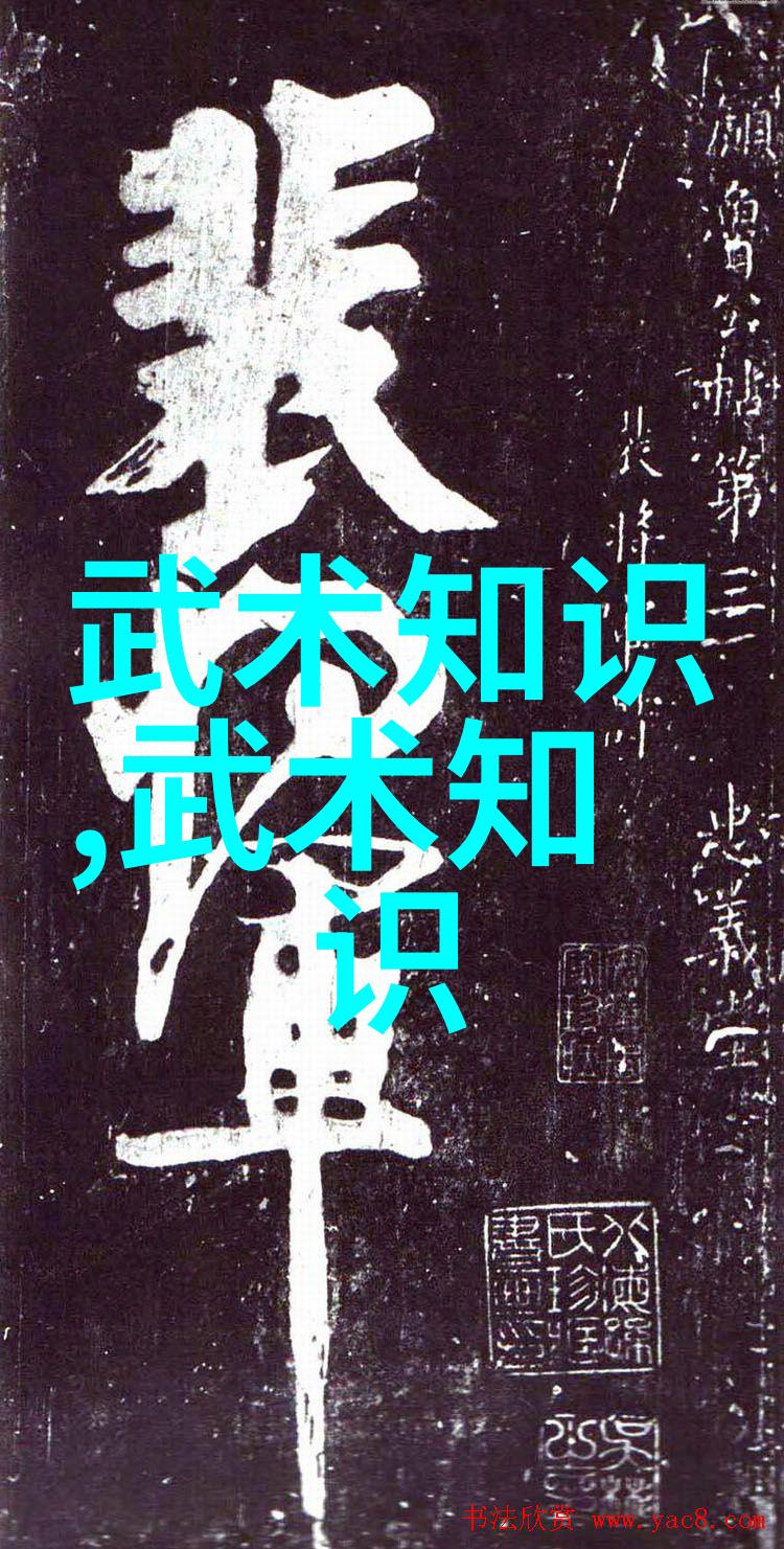 掌握武学奥秘适合自学的武术新编歌诀及深度解析-张宝银