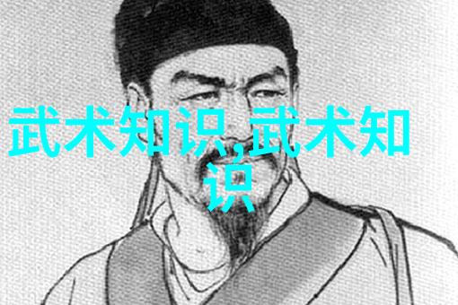 武术练习方法功夫的学习和实践技巧