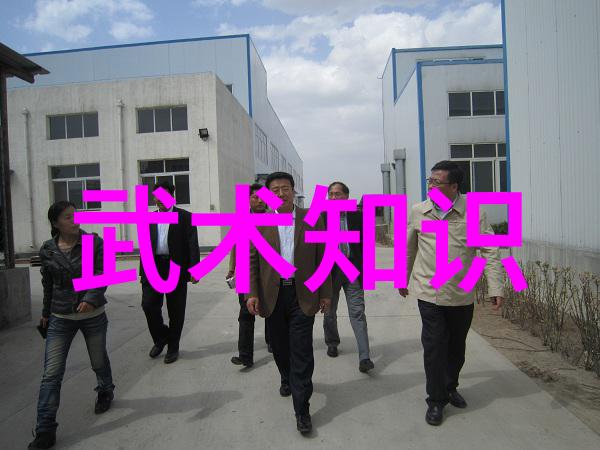 南少林秘传功力拳之入力拳下