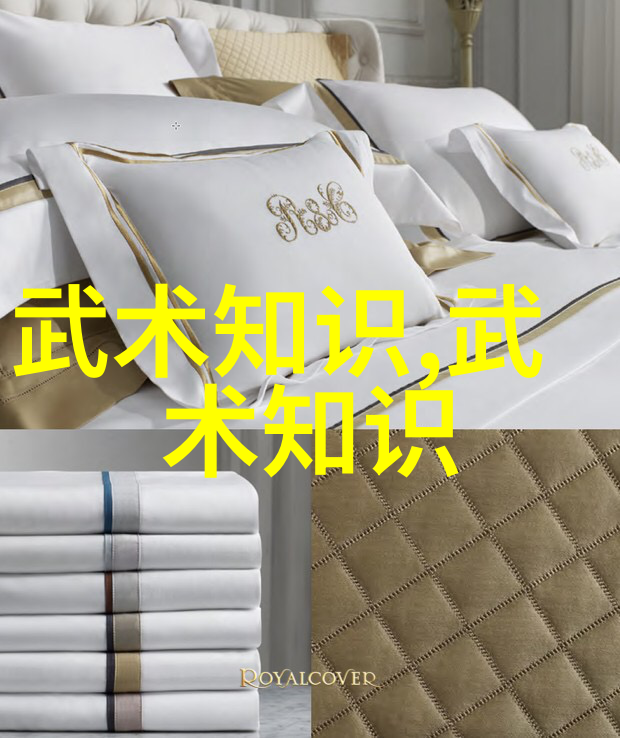 太极拳的魅力简化24式分解教学的艺术与科学
