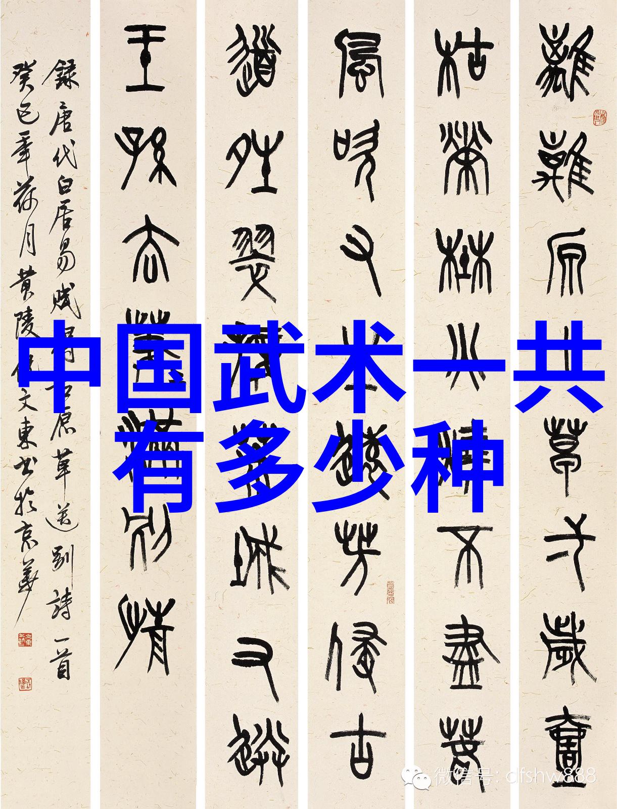 武当太虚拳幻境中的精英